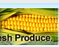 produce industry, food industry, agriculture market
